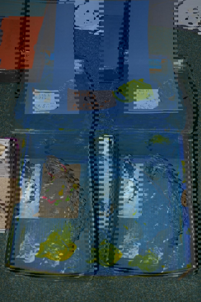 Image Description